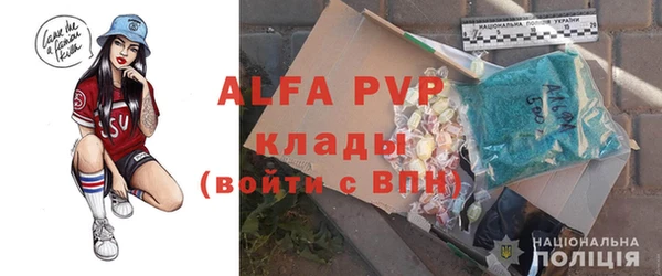 индика Михайловск