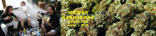 МДПВ Медногорск