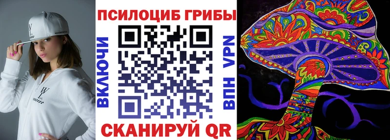 купить наркотик  Рязань  Галлюциногенные грибы Psilocybe 