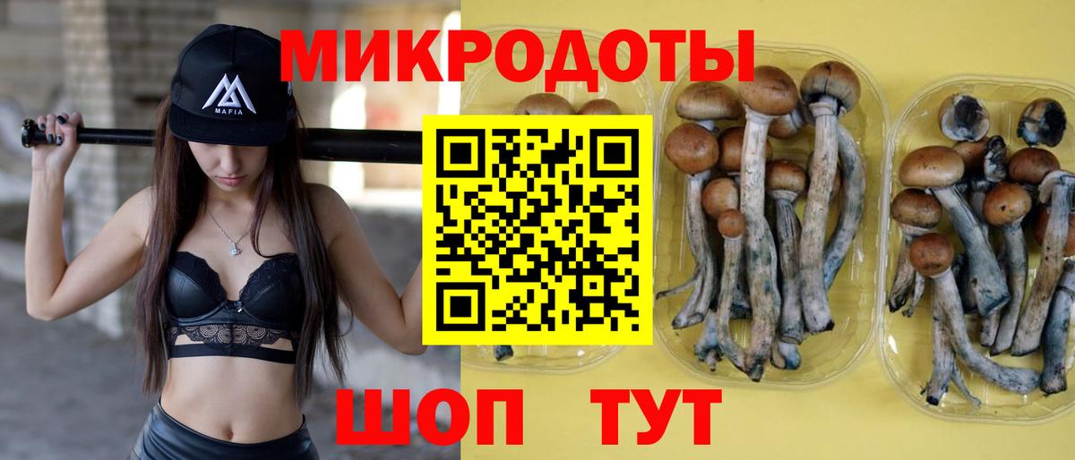 Псилоцибиновые грибы GOLDEN TEACHER  Вход с VPN  Рязань  Галлюциногенные грибы мицелий 