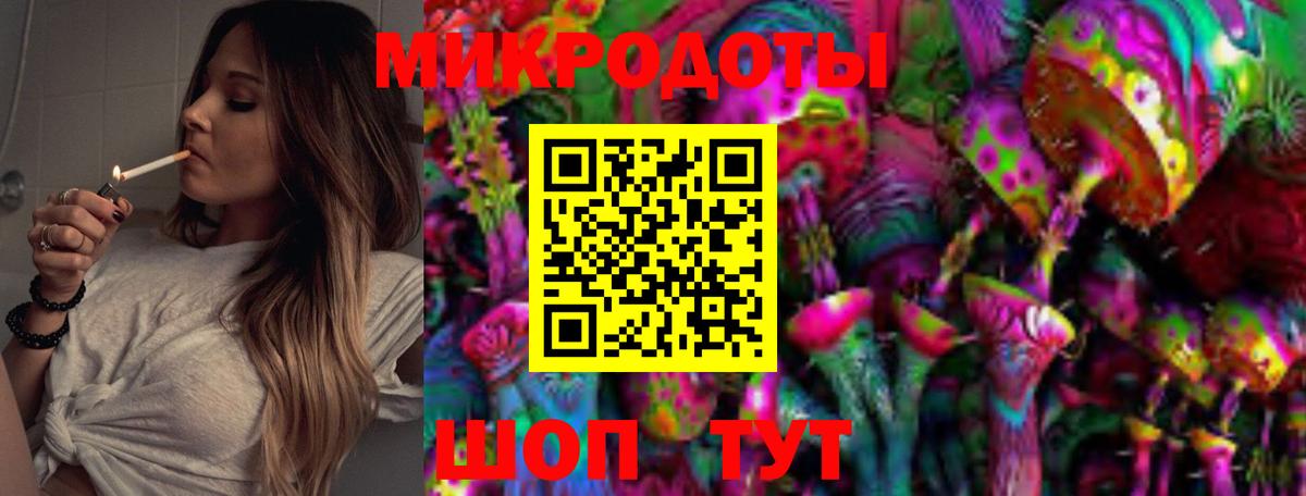 Псилоцибиновые грибы Psilocybe Рязань